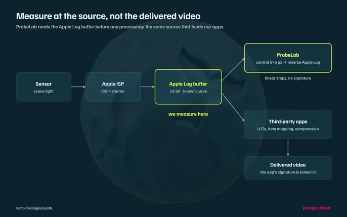 Ungraded Apple Log image, with no LUT applied